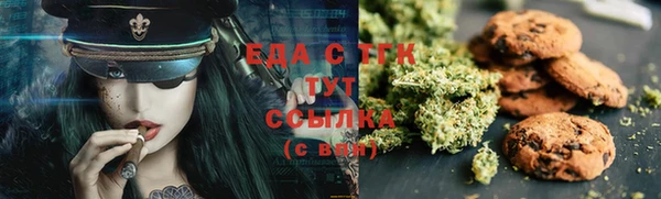 ECSTASY Алзамай