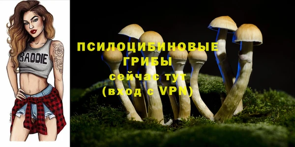 гидра Алексин